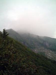 KXăWWAooȂ`B