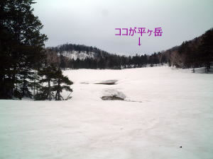 ۂɂ̓LCɌ̂łARƌ܂ˁEE^_^;